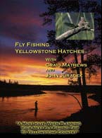 fly fishing dvd