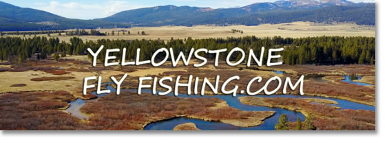 Yellowstone Fly Fishing - Echo Fly Rod Review